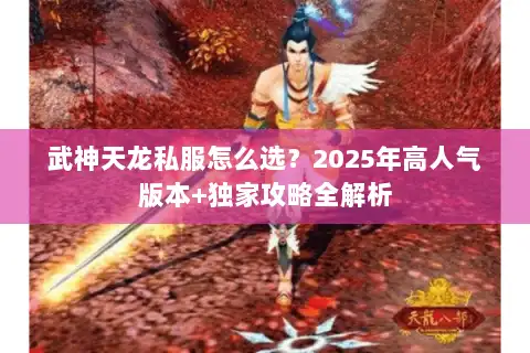 武神天龙私服怎么选？2025年高人气版本+独家攻略全解析