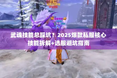 武魂技能总踩坑？2025爆款私服核心技能拆解+选服避坑指南