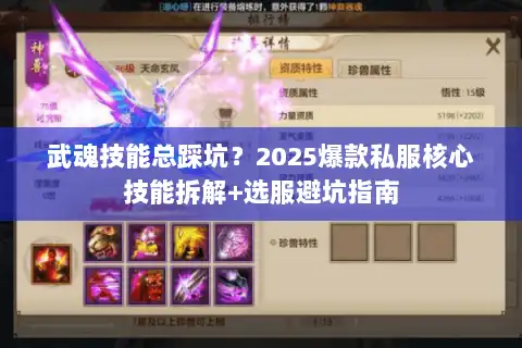 武魂技能总踩坑？2025爆款私服核心技能拆解+选服避坑指南