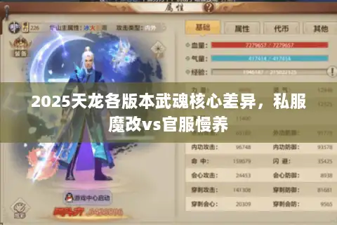 2025天龙各版本武魂核心差异,私服魔改vs官服慢养 2025天龙各版本武魂核心差异,私服魔改vs官服慢养