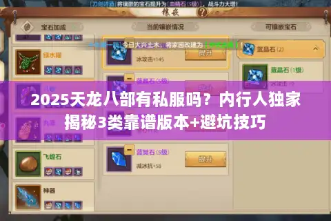 2025天龙八部有私服吗？内行人独家揭秘3类靠谱版本+避坑技巧