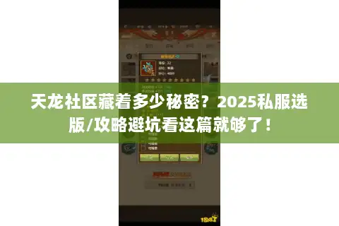 天龙社区藏着多少秘密？2025私服选版/攻略避坑看这篇就够了！