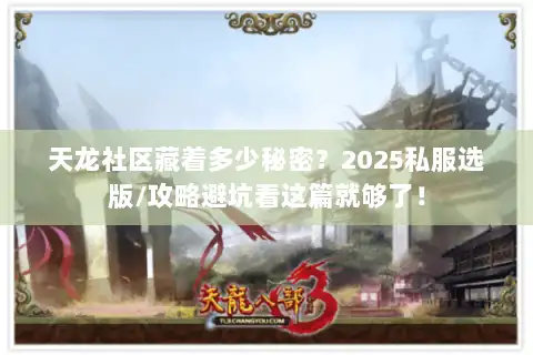 天龙社区藏着多少秘密？2025私服选版/攻略避坑看这篇就够了！