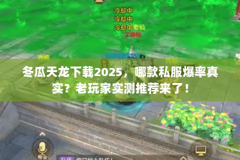 冬瓜天龙下载2025，哪款私服爆率真实？老玩家实测推荐来了！