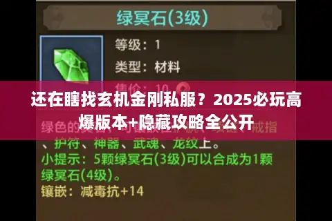 还在瞎找玄机金刚私服？2025必玩高爆版本+隐藏攻略全公开