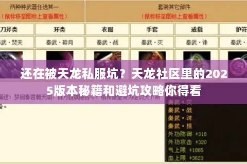 还在被天龙私服坑？天龙社区里的2025版本秘籍和避坑攻略你得看