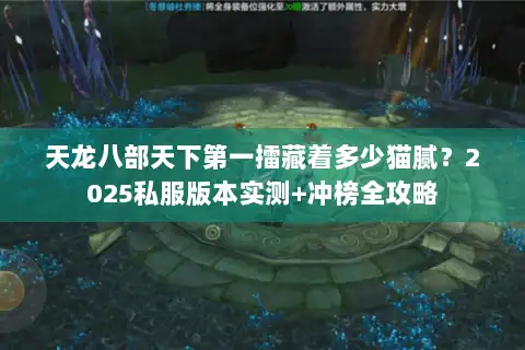 天龙八部天下第一擂藏着多少猫腻？2025私服版本实测+冲榜全攻略