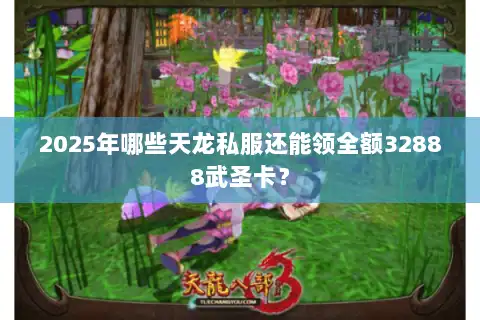 2025年哪些天龙私服还能领全额32888武圣卡？