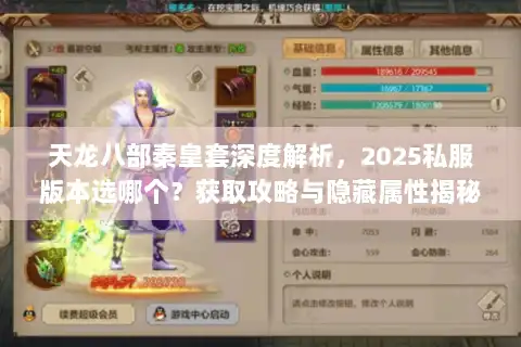 天龙八部秦皇套深度解析，2025私服版本选哪个？获取攻略与隐藏属性揭秘