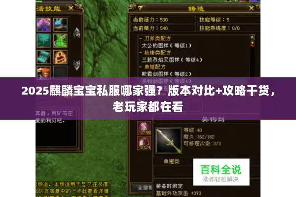 2025麒麟宝宝私服哪家强?版本对比+攻略干货,老玩家都在看 2025麒麟宝宝私服哪家强?版本对比+攻略干货,老玩家都在看