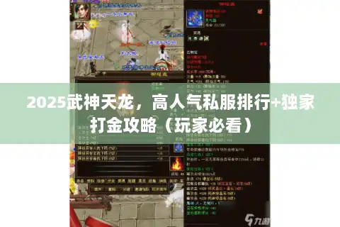 2025武神天龙，高人气私服排行+独家打金攻略（玩家必看）