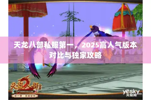 天龙八部私服第一，2025高人气版本对比与独家攻略