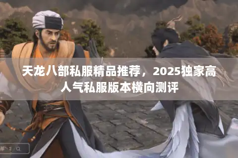 天龙八部私服精品推荐，2025独家高人气私服版本横向测评