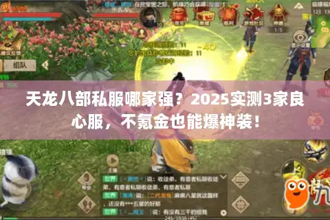 天龙八部私服哪家强？2025实测3家良心服，不氪金也能爆神装！