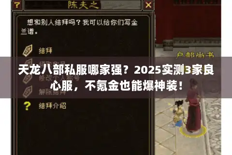 天龙八部私服哪家强？2025实测3家良心服，不氪金也能爆神装！
