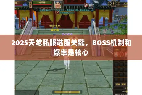 2025天龙私服选服关键，BOSS机制和爆率是核心