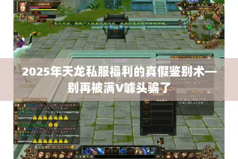 2025年天龙私服福利的真假鉴别术—别再被满V噱头骗了 2025年天龙私服福利的真假鉴别术—别再被满V噱头骗了