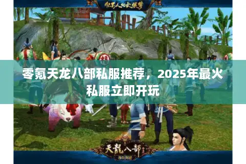 零氪天龙八部私服推荐，2025年最火私服立即开玩