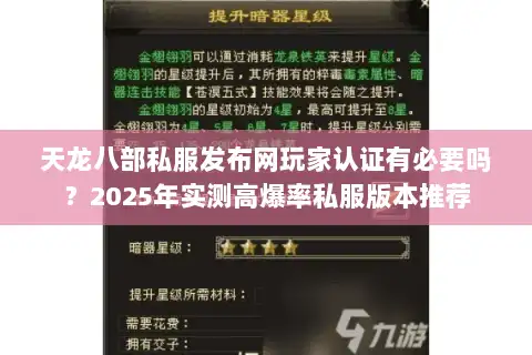 天龙八部私服发布网玩家认证有必要吗？2025年实测高爆率私服版本推荐