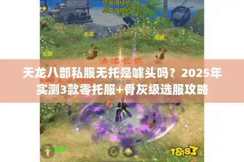 天龙八部私服无托是噱头吗?2025年实测3款零托服+骨灰级选服攻略 天龙八部私服无托是噱头吗?2025年实测3款零托服+骨灰级选服攻略