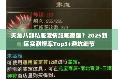 天龙八部私服激情服哪家强？2025新区实测爆率Top3+避坑细节