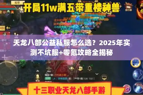 天龙八部公益私服怎么选？2025年实测不坑服+零氪攻略全揭秘