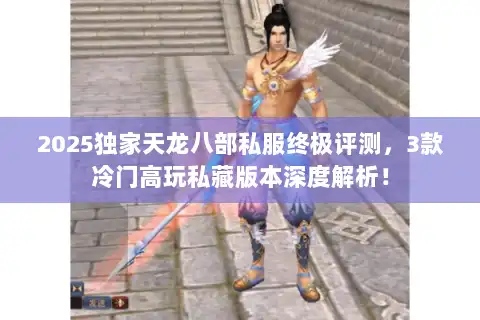 2025独家天龙八部私服终极评测，3款冷门高玩私藏版本深度解析！