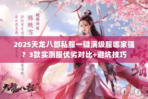 2025天龙八部私服一键满级服哪家强？3款实测服优劣对比+避坑技巧