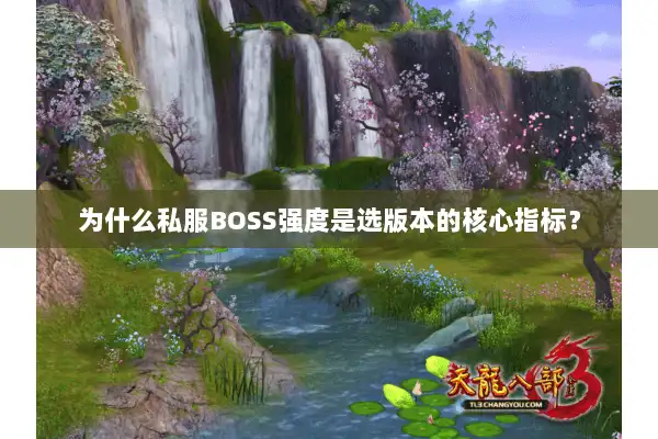 为什么私服BOSS强度是选版本的核心指标? 为什么私服BOSS强度是选版本的核心指标?