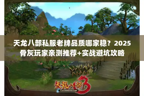 天龙八部私服老牌品质哪家稳？2025骨灰玩家亲测推荐+实战避坑攻略