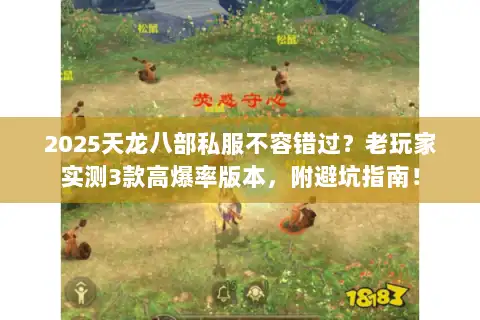 2025天龙八部私服不容错过？老玩家实测3款高爆率版本，附避坑指南！