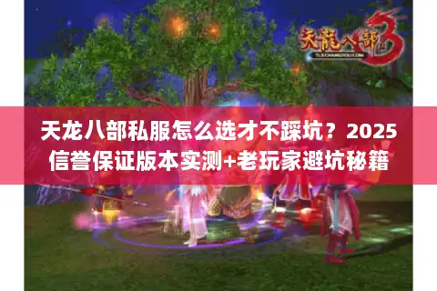 天龙八部私服怎么选才不踩坑？2025信誉保证版本实测+老玩家避坑秘籍