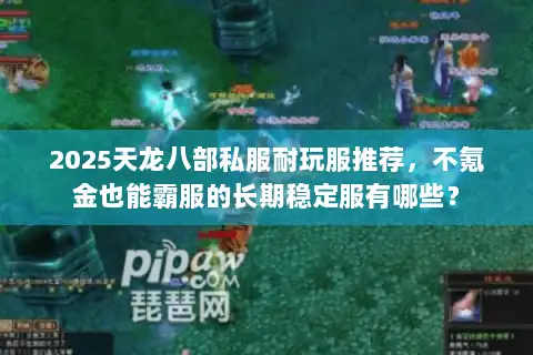 2025天龙八部私服耐玩服推荐，不氪金也能霸服的长期稳定服有哪些？