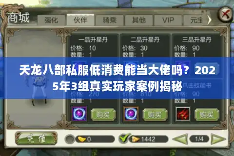 天龙八部私服低消费能当大佬吗？2025年3组真实玩家案例揭秘