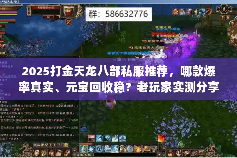 2025打金天龙八部私服推荐，哪款爆率真实、元宝回收稳？老玩家实测分享