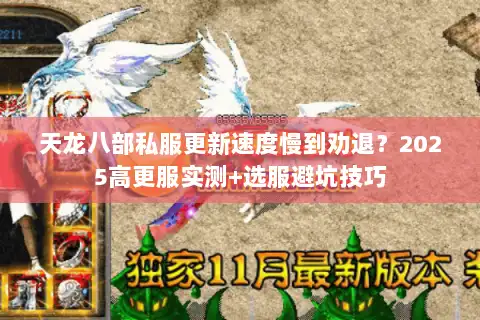 天龙八部私服更新速度慢到劝退？2025高更服实测+选服避坑技巧