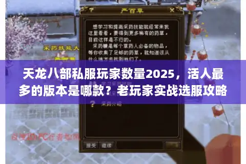 天龙八部私服玩家数量2025，活人最多的版本是哪款？老玩家实战选服攻略