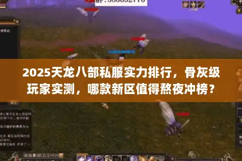 2025天龙八部私服实力排行，骨灰级玩家实测，哪款新区值得熬夜冲榜？