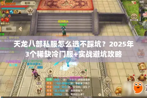 天龙八部私服怎么选不踩坑？2025年3个稀缺冷门服+实战避坑攻略
