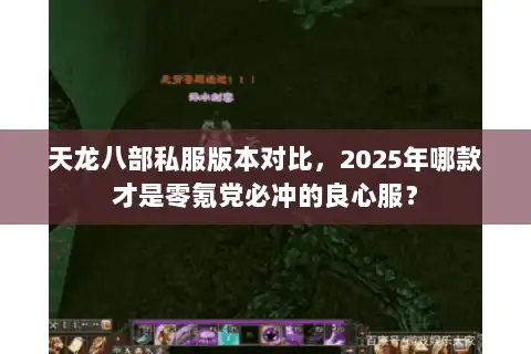 天龙八部私服版本对比，2025年哪款才是零氪党必冲的良心服？