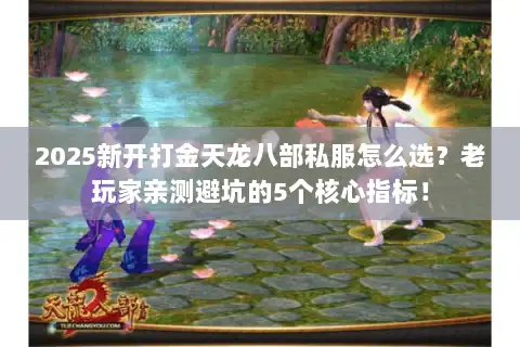 2025新开打金天龙八部私服怎么选？老玩家亲测避坑的5个核心指标！