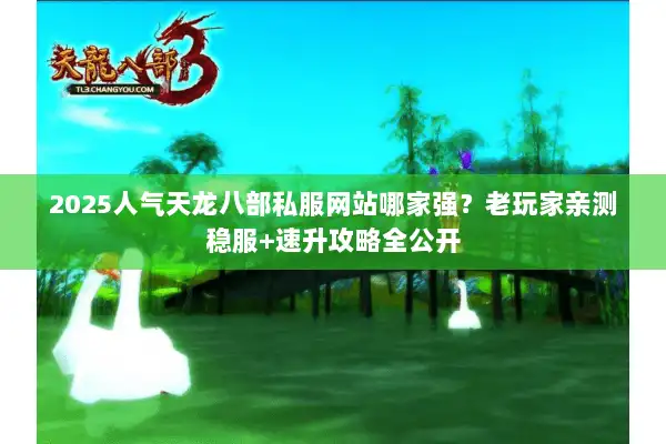 2025人气天龙八部私服网站哪家强？老玩家亲测稳服+速升攻略全公开