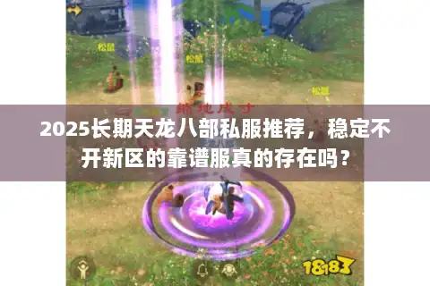 2025长期天龙八部私服推荐，稳定不开新区的靠谱服真的存在吗？