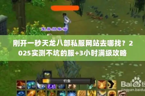 刚开一秒天龙八部私服网站去哪找？2025实测不坑的服+3小时满级攻略
