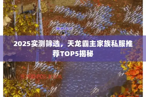 2025实测筛选，天龙霸主家族私服推荐TOP5揭秘