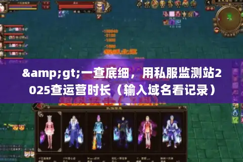 >一查底细，用私服监测站2025查运营时长（输入域名看记录）