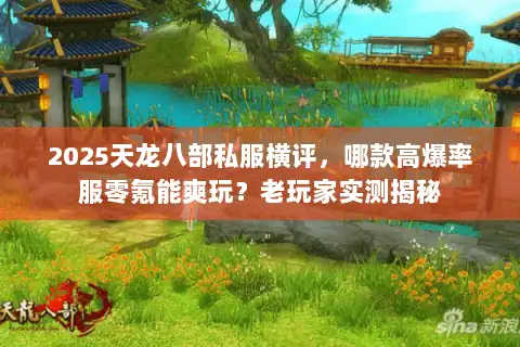 2025天龙八部私服横评，哪款高爆率服零氪能爽玩？老玩家实测揭秘