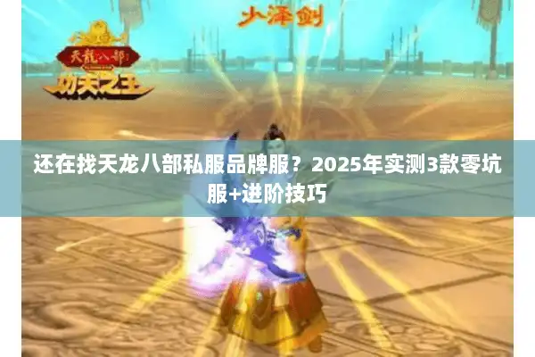 还在找天龙八部私服品牌服？2025年实测3款零坑服+进阶技巧