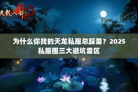 为什么你找的天龙私服总踩雷？2025私服圈三大避坑雷区