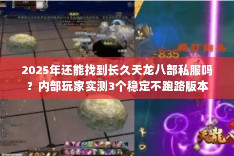 2025年还能找到长久天龙八部私服吗？内部玩家实测3个稳定不跑路版本